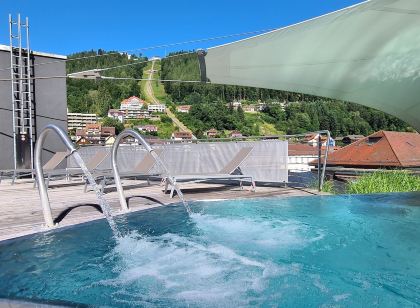 Mokni's Palais Hotel & Spa