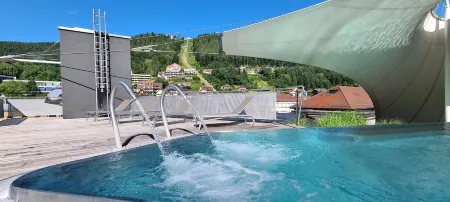 Mokni's Palais Hotel & Spa Отели рядом с достопримечательностью «Баумвипфельпфад Шварцвальд»