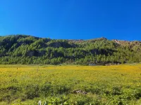 B&B Vertemate Hotels in Campodolcino