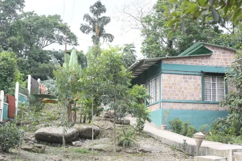 Pumpkin StreamSide Guest House Hotels in Cherrapunjee