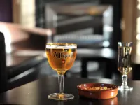 Brit Hotel Lyon Nord Dardilly Hotels in Dardilly
