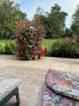 Chambres D’hôtes d'Origny-en-Thierache Hotels in Vervins