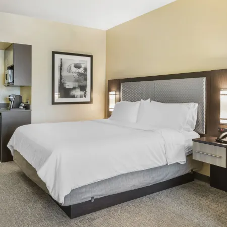 Holiday Inn Express & Suites ANAHEIM RESORT AREA by IHG