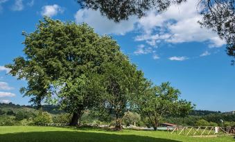 Az Agrituristica Bio le Macchie Alte