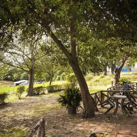 Agriturismo Pomonte