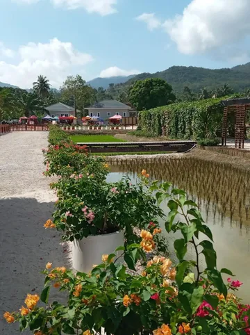 รูปภาพของสเตลล่า รีสอร์ต ขนอม