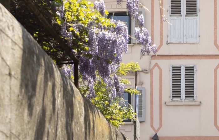 B&B le Cannelle Fiesole