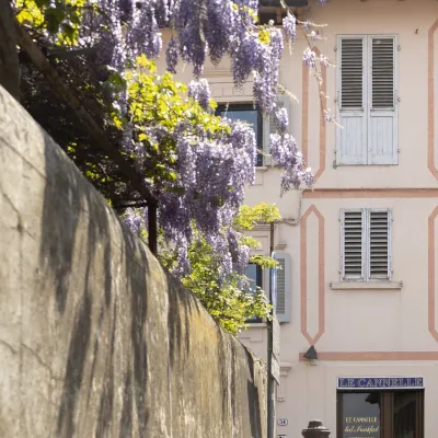 B&B le Cannelle Fiesole Hotels near Convent of San Domenico, Fiesole