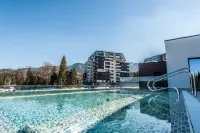 Silver Mountain Resort & Spa - Rooftop Pools