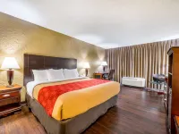 Econo Lodge Corinth Hotels in Corinth