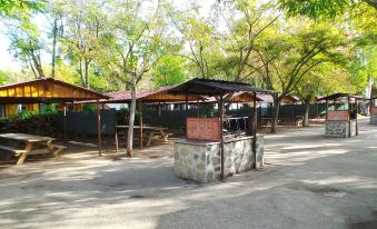 Bungalows Alpha