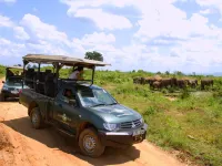 Mahoora - Udawalawe by Eco Team Hotels in Moneragala