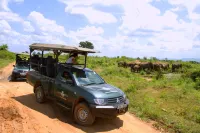 Mahoora - Udawalawe by Eco Team