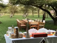 Kandili Camps - breakfast