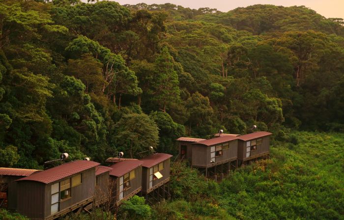 The Rainforest Ecolodge - Sinharaja with Shuttle Service from Car Park