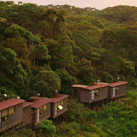 The Rainforest Ecolodge - Sinharaja with Shuttle Service from Car Park