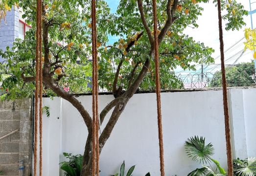 이너 피스 홈스테이 이미지