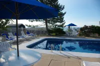 Silver Dart Lodge - Pools