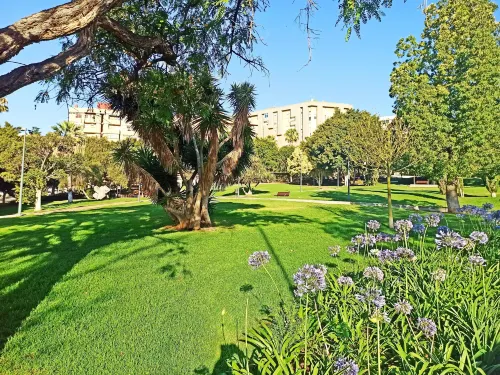 Light-Flooded Loft in Santa Cruz
