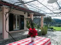Green Yard Retreat - Family Getaway in Sidari Corfu Hotels in Esperii
