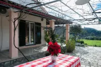 Green Yard Retreat - Family Getaway in Sidari Corfu Hotels in Agios Georgios