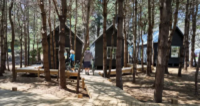 Black Forest Cabins