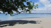Seagull Cove Resort - Wifi