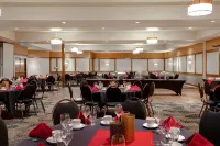Days Inn & Conference Centre by Wyndham Prince Albert Hotels in Prince Albert