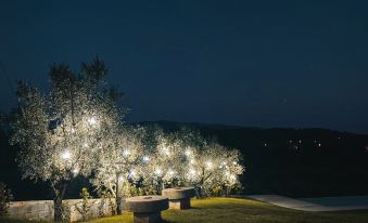 Quinta Dona Iria
