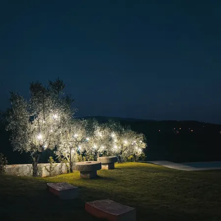 Quinta Dona Iria Ξενοδοχεία στην πόλη Miranda do Corvo