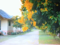 Thungwua Laen Resort