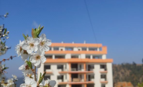 Dads Pride Pvt. Ltd.