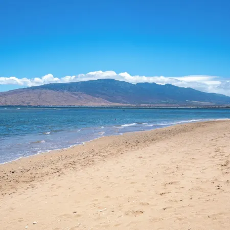 Sunny and Soothing Oceanfront Vistas