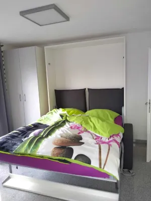 Modern bright apartment on Lake Constance Meersburg lake and mountain view vacation, dog Hotels near MAURISCH