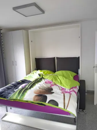 Modern bright apartment on Lake Constance Meersburg lake and mountain view vacation, dog