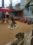 Caribbean getaway aguadilla