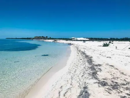 Coconut Palm Unit: Upscale condo with Caribbean Sea views