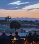 Casa LoJo - a taste of old Paso in the heart of downtown.