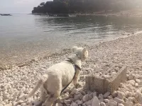 Apartment Near the Arena and Port. with Private Parking + Smart TV. Top!