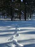 Spectacular peaceful out of town getaway only 5 miles from downtown Lake Chelan.