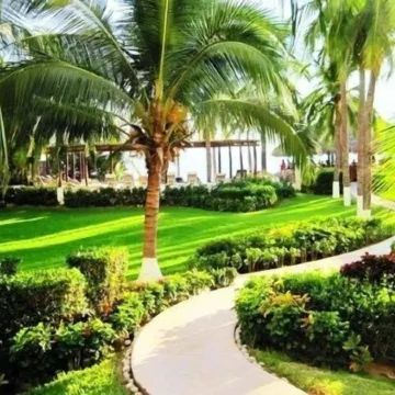 Residence Palmeto 4Br