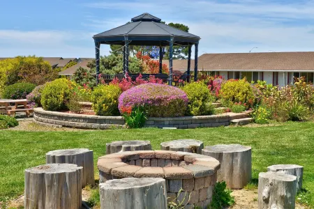 Surf Motel and Gardens