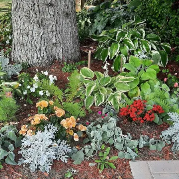 Wild Rose Bed & Breakfast