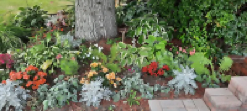 Wild Rose Bed & Breakfast فنادق في 