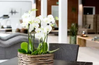 海瑟利特酒店 - SPA