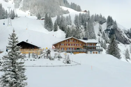 Alpinhotel Bort