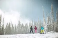 Luxurious 1Br+Loft - Ski-in/Ski-Out Access to Beaver Creek 1 Bedroom Condo by RedAwning - 3-Star