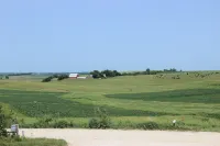 Whiterock Conservancy - Homestay