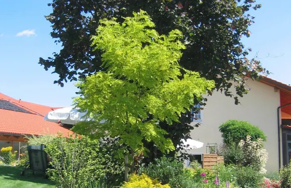 維爾特薩摩撒旅館