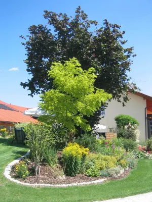 Wirth z ´ Moosham Hotels in Dorfen